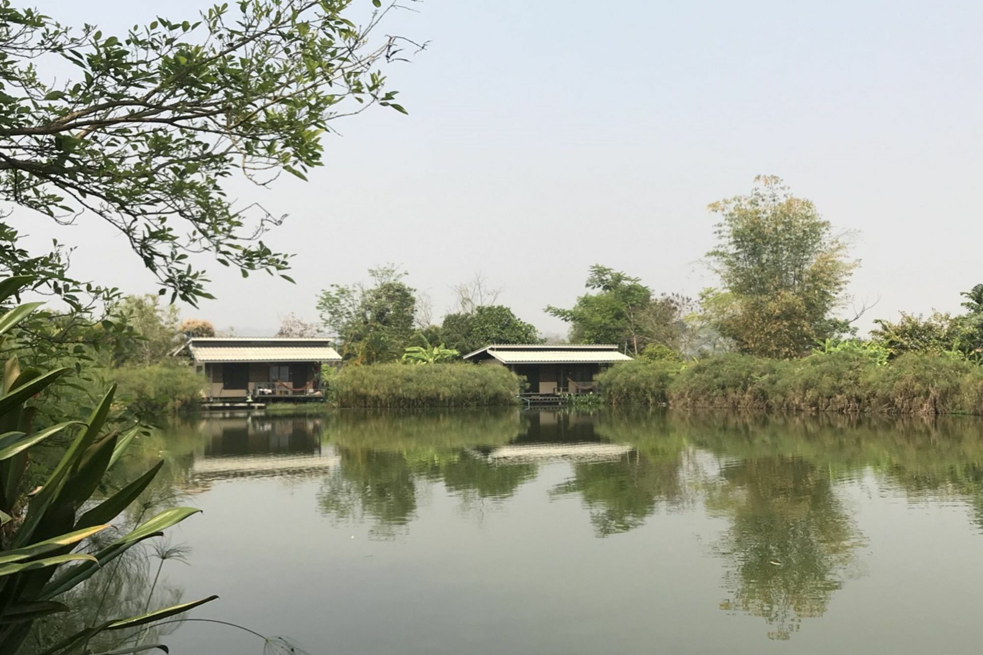 Bueng Pai Farm บึงปายฟาร์ม Exterior foto